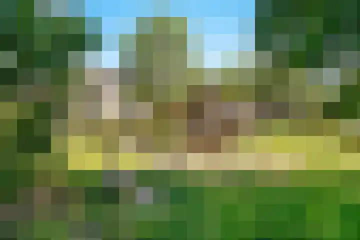 Westerwoud 17 Woudenberg thumbnail 67