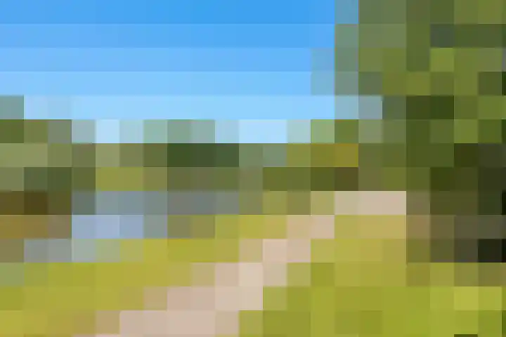Westerwoud 17 Woudenberg thumbnail 68
