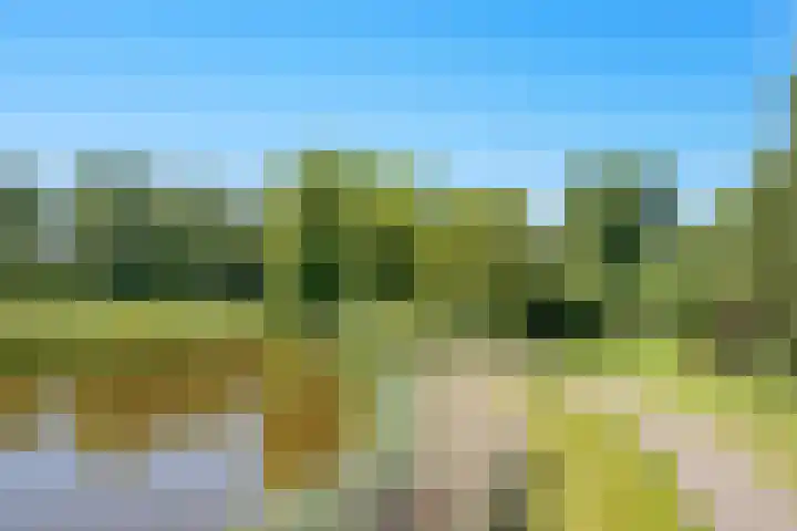 Westerwoud 17 Woudenberg thumbnail 69