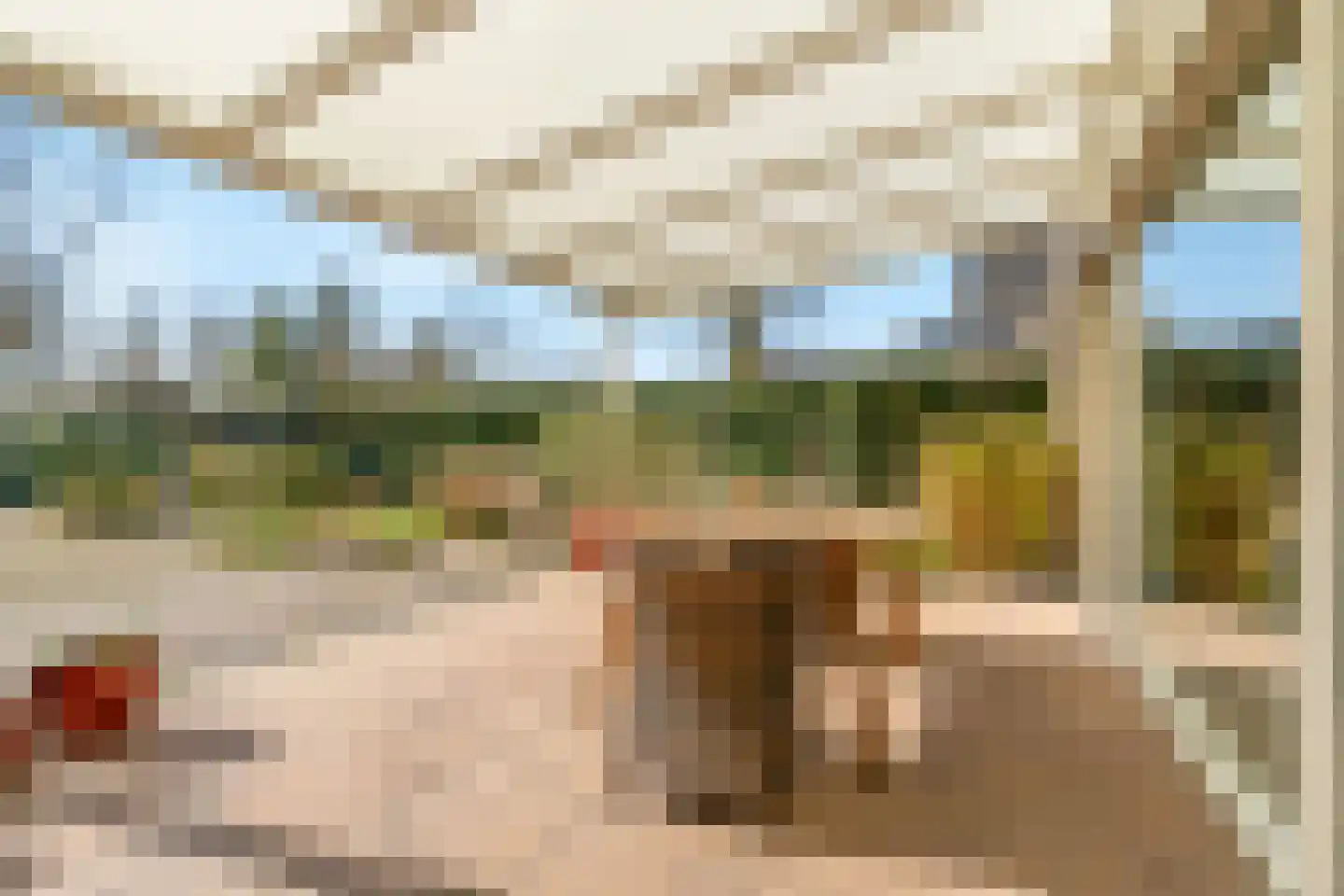 Westerwoud 21 Woudenberg thumbnail 15