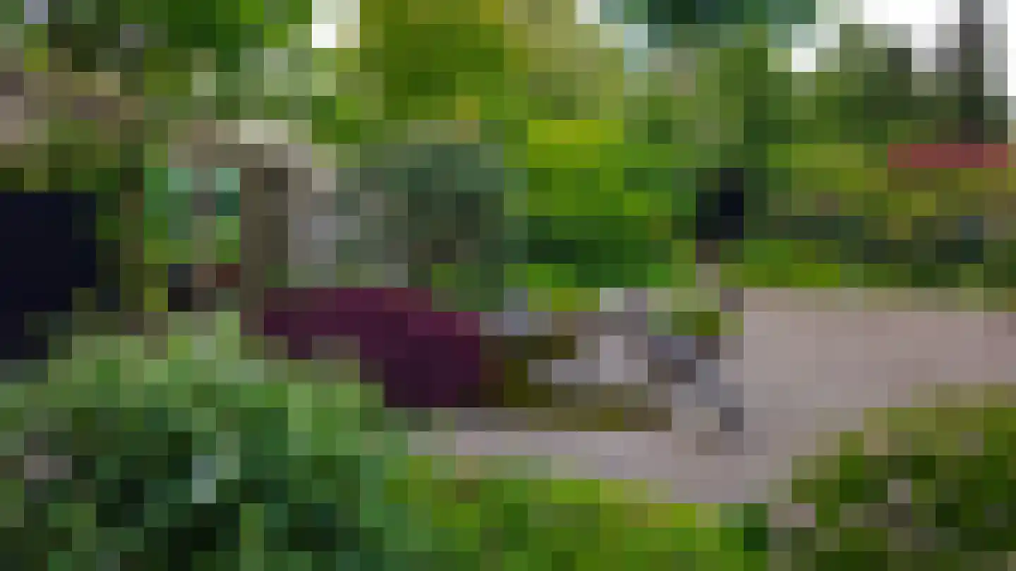 Westerwoud 21 Woudenberg thumbnail 22