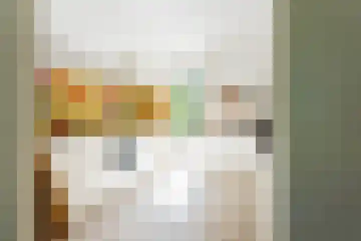 Westerzand 22 Sebaldeburen thumbnail 22