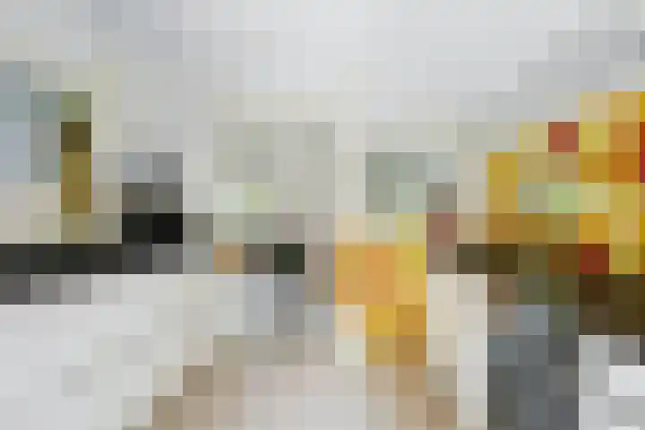 Westerzand 22 Sebaldeburen thumbnail 25