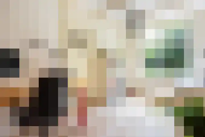 Westerzand 22 Sebaldeburen thumbnail 35