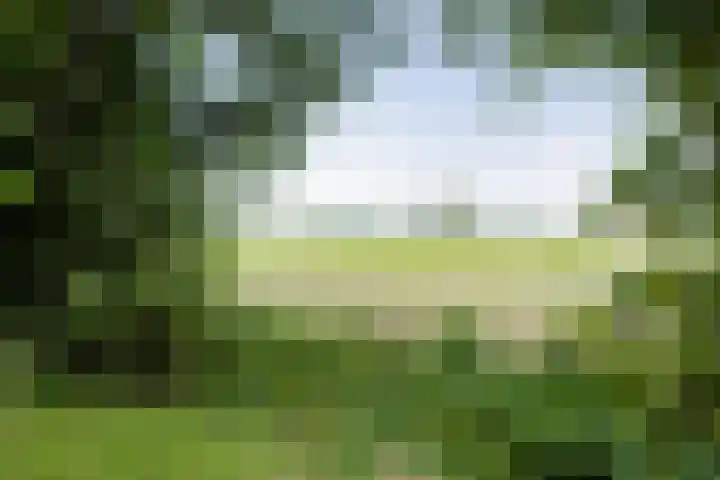 Westerzand 22 Sebaldeburen thumbnail 4