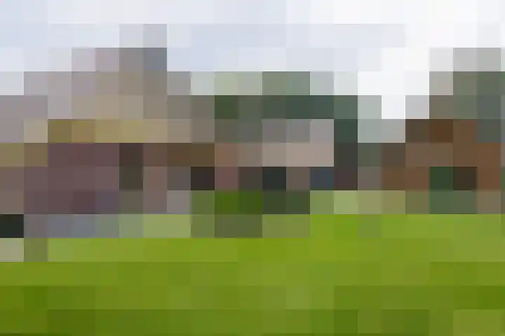 Westerzand 22 Sebaldeburen thumbnail 52