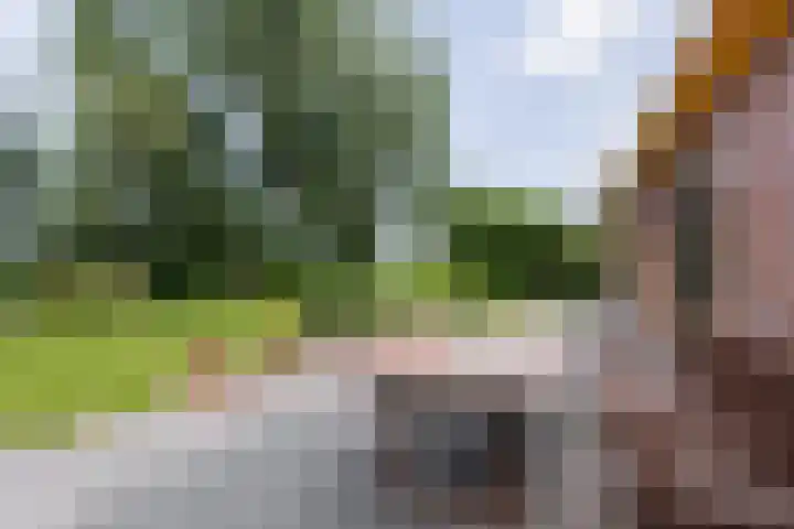 Westerzand 22 Sebaldeburen thumbnail 55