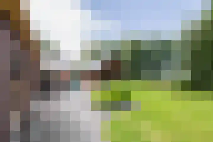 Westerzand 22 Sebaldeburen thumbnail 56