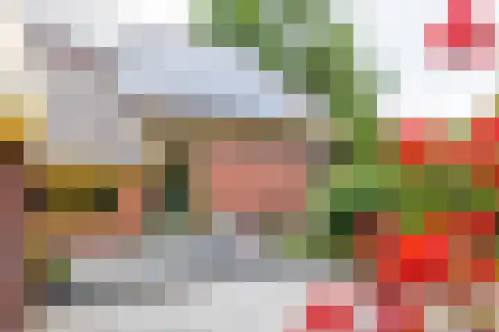 Westerzand 22 Sebaldeburen thumbnail 6