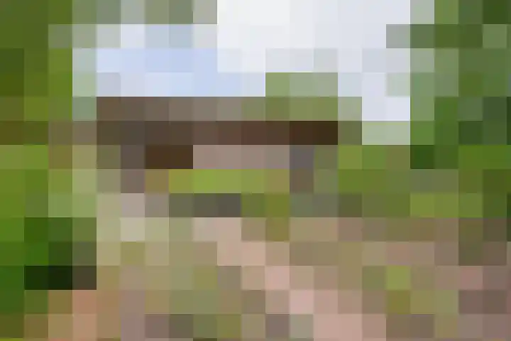 Westerzand 22 Sebaldeburen thumbnail 66