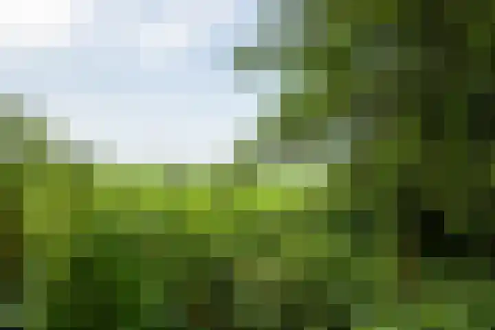 Westerzand 22 Sebaldeburen thumbnail 67