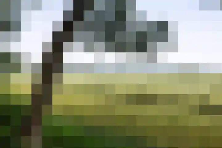 Westerzand 22 Sebaldeburen thumbnail 68