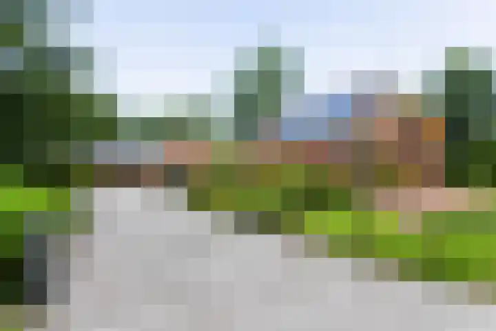 Westerzand 22 Sebaldeburen thumbnail 69
