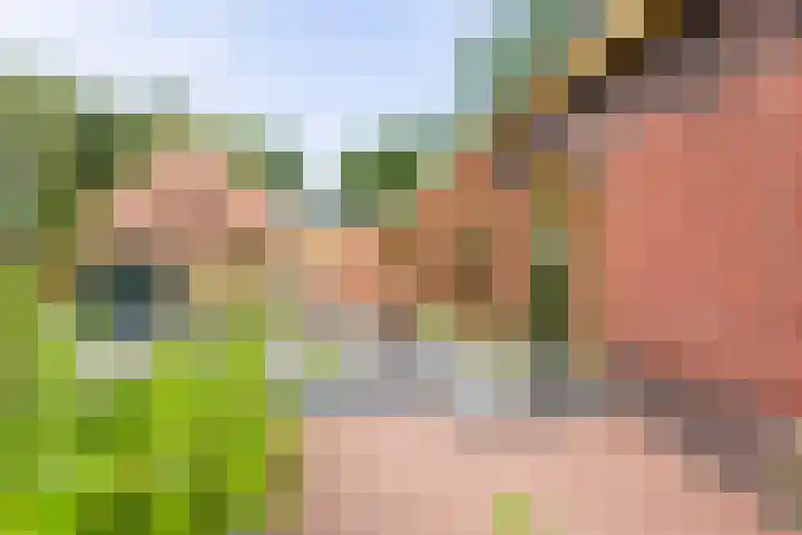Westerzand 22 Sebaldeburen thumbnail 7