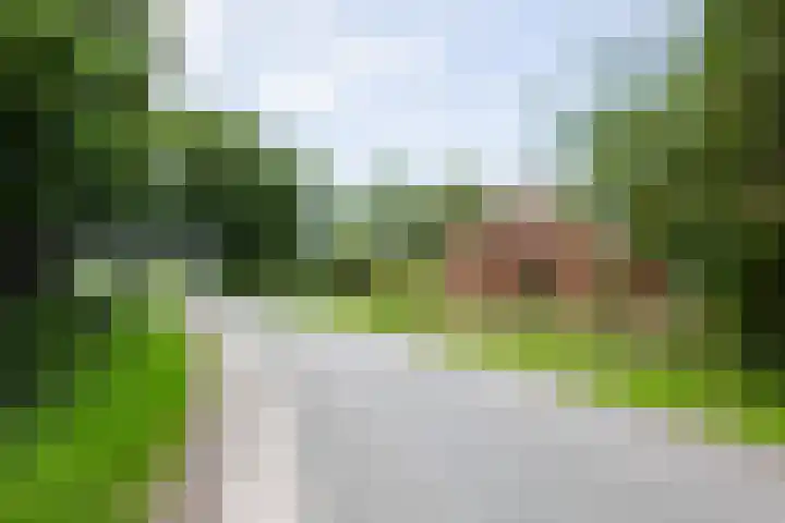 Westerzand 22 Sebaldeburen thumbnail 70