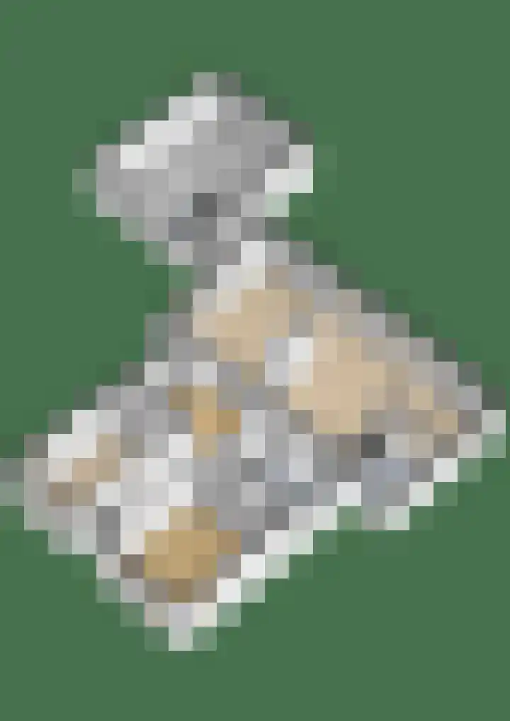 Westerzand 22 Sebaldeburen thumbnail 74