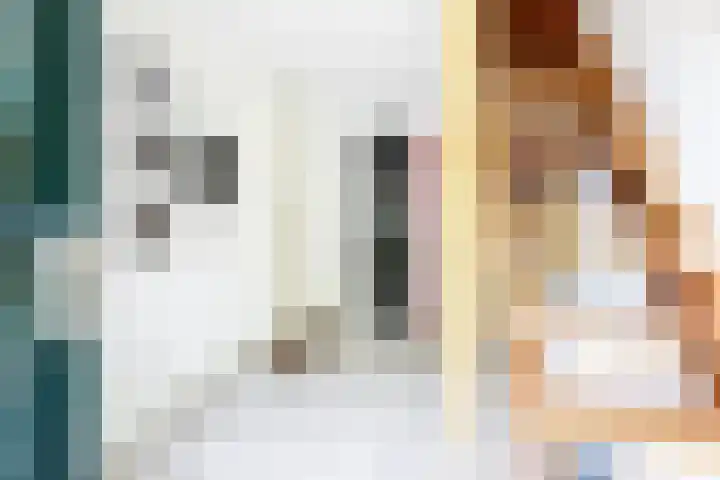 Westerzand 22 Sebaldeburen thumbnail 8