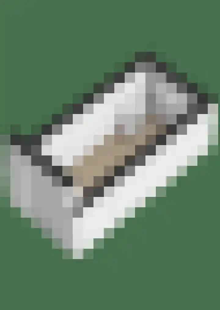 Westerzand 22 Sebaldeburen thumbnail 80