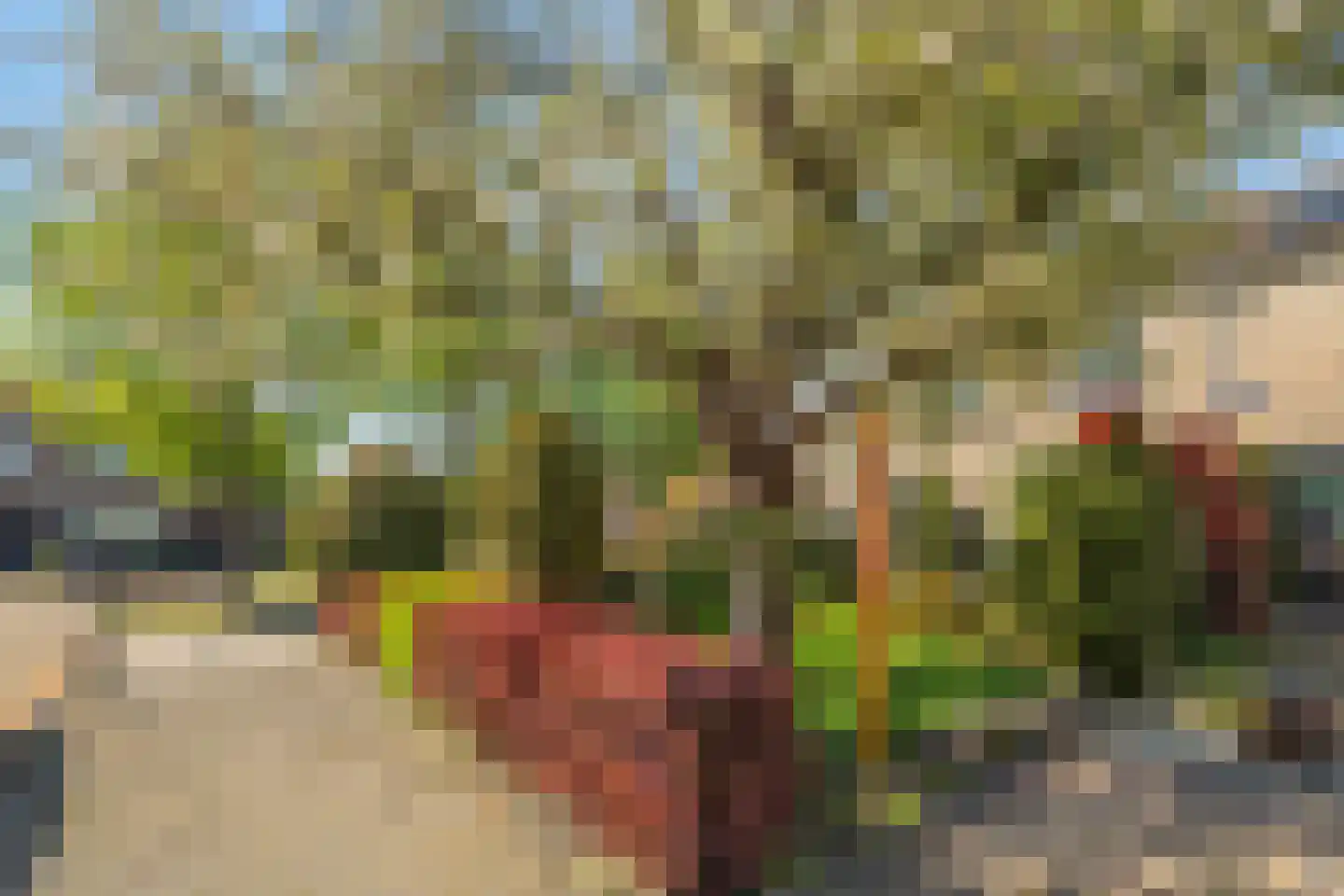 Westerzate 9 Bunschoten-Spakenburg thumbnail 38