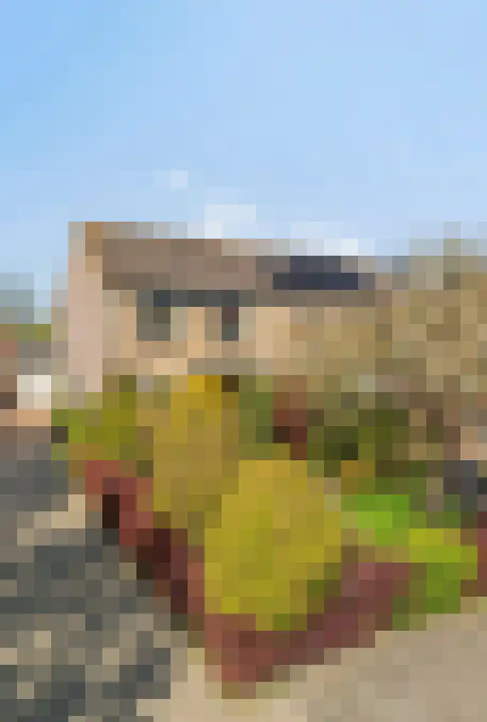 Westerzate 9 Bunschoten-Spakenburg thumbnail 43