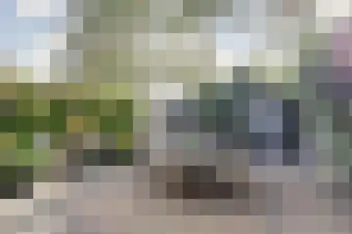 Westerzicht 104 Vlissingen thumbnail 28