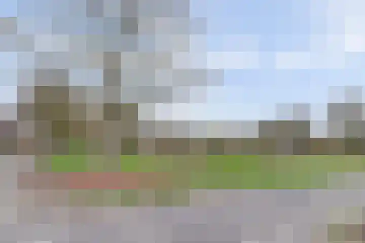 Westerzicht 176 Vlissingen thumbnail 26