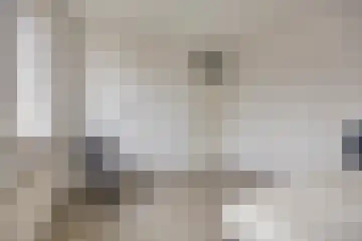 Westerzicht 217 Vlissingen thumbnail 18