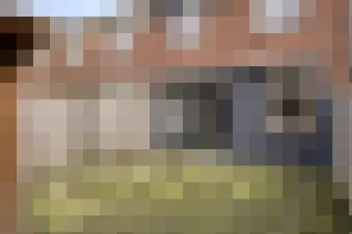 Westerzicht 217 Vlissingen thumbnail 23