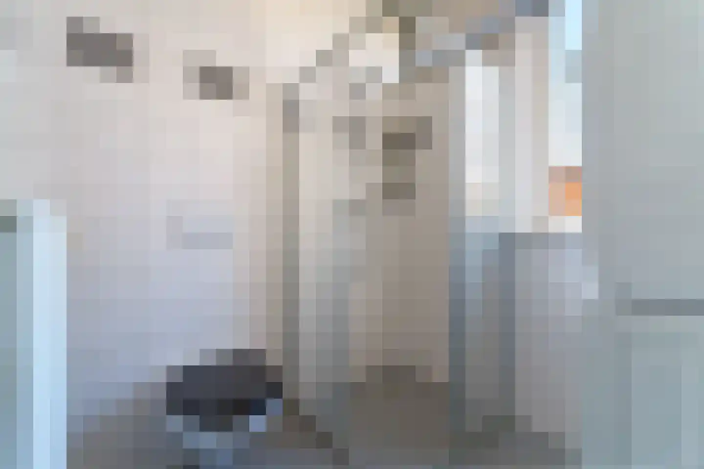 Westerzicht 226 Vlissingen thumbnail 19