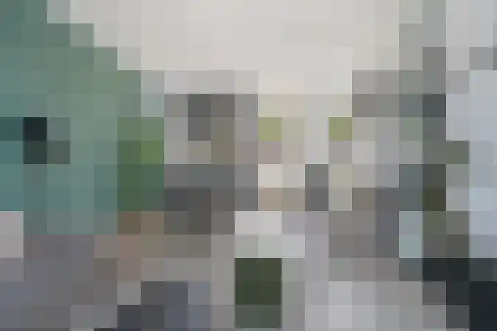 Westerzicht 246 Vlissingen thumbnail 4