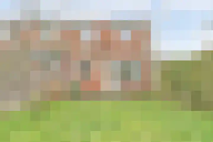 Westerzicht 268 Vlissingen thumbnail 21