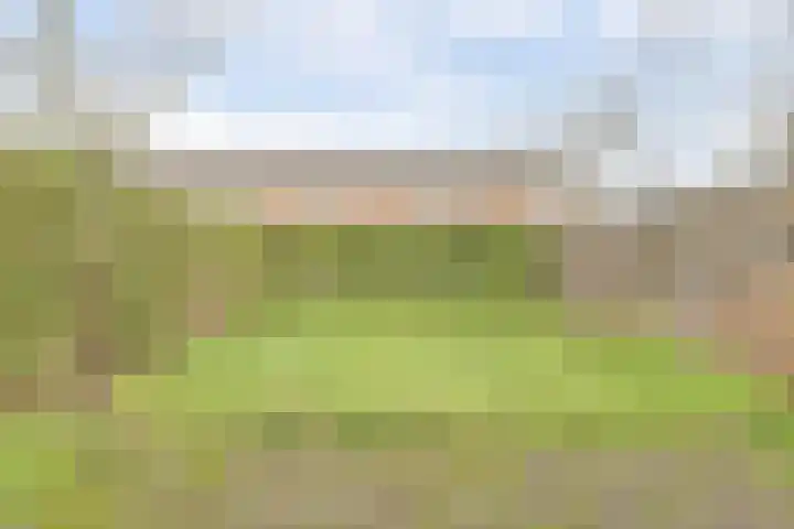 Westerzicht 268 Vlissingen thumbnail 5