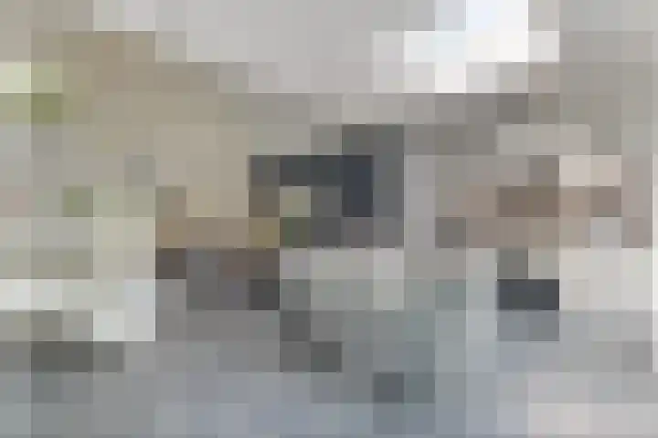 Westerzicht 297 Vlissingen thumbnail 10