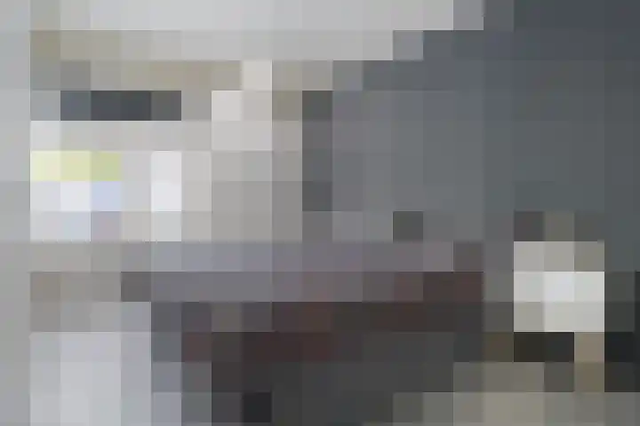Westerzicht 297 Vlissingen thumbnail 13