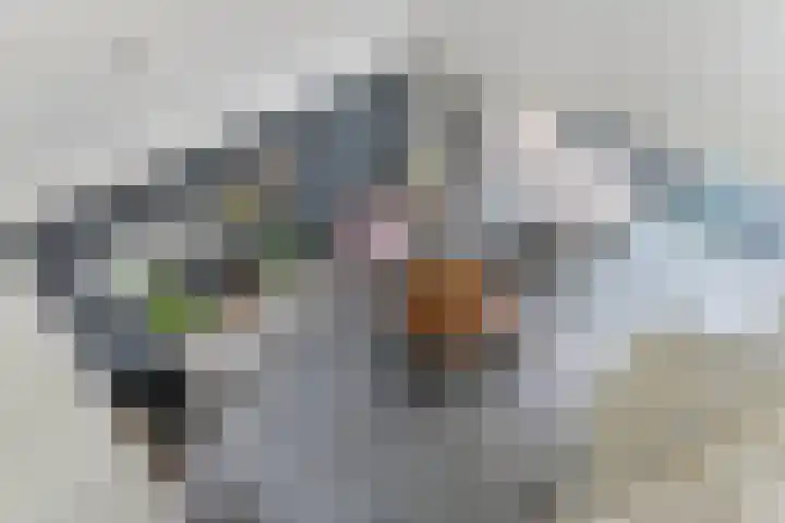 Westerzicht 297 Vlissingen thumbnail 17