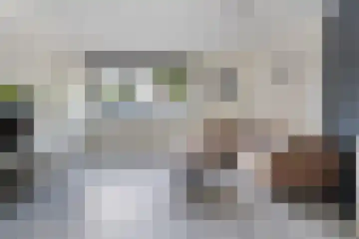 Westerzicht 297 Vlissingen thumbnail 8