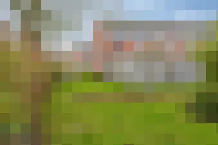 Westerzicht 315 Vlissingen thumbnail 32