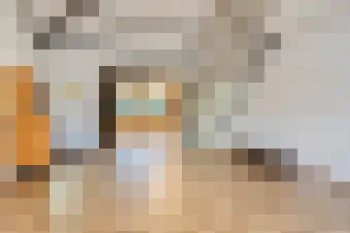 Westerzicht 315 Vlissingen thumbnail 7