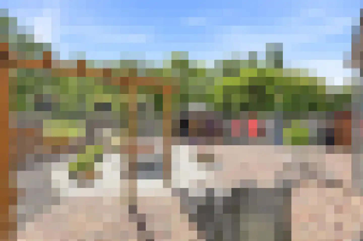 Westerzicht 339 a Vlissingen thumbnail 22