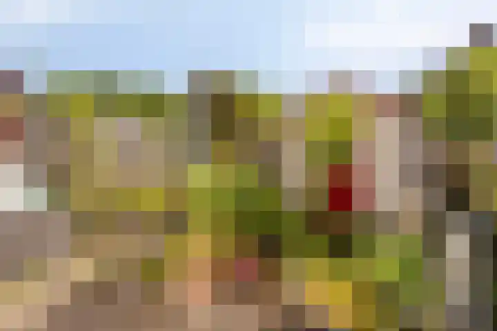 Westerzicht 356 Vlissingen thumbnail 18
