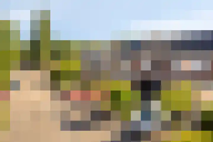 Westerzicht 356 Vlissingen thumbnail 20