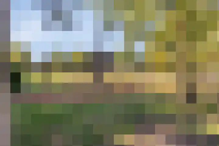 Westerzicht 356 Vlissingen thumbnail 21