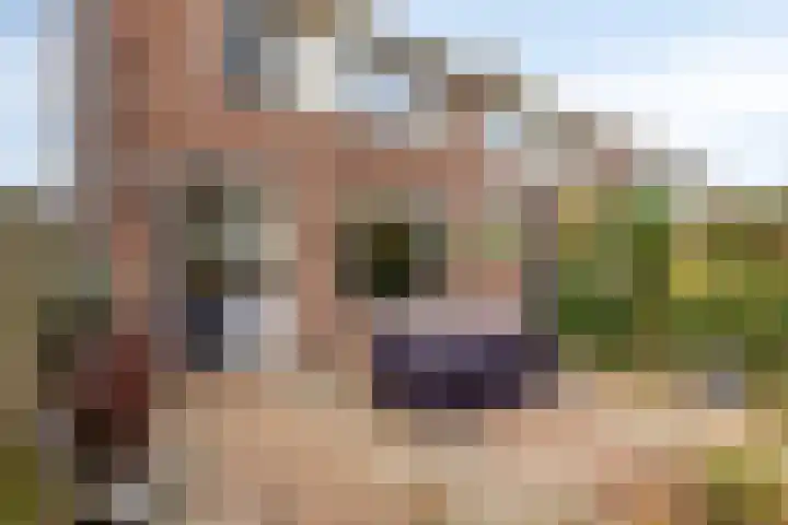 Westerzicht 361 Vlissingen thumbnail 22