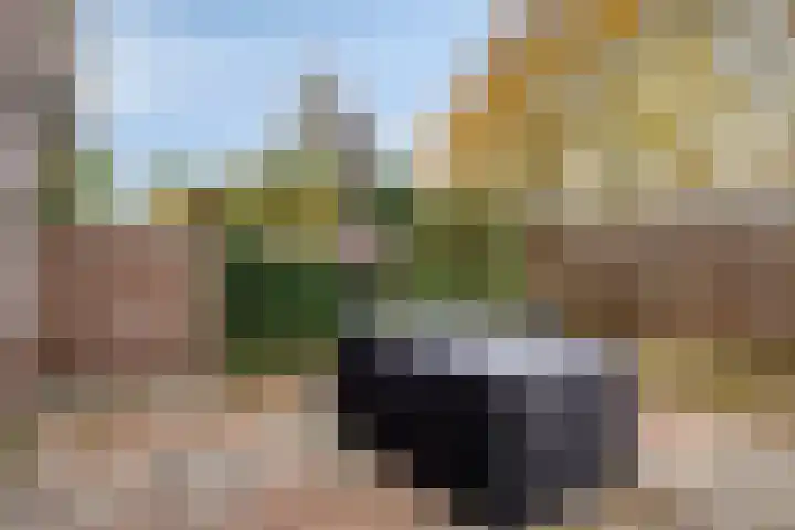 Westerzicht 361 Vlissingen thumbnail 23