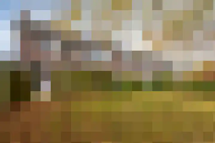 Westerzicht 361 Vlissingen thumbnail 25
