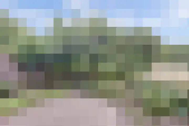 Westerzicht 379 Vlissingen thumbnail 24