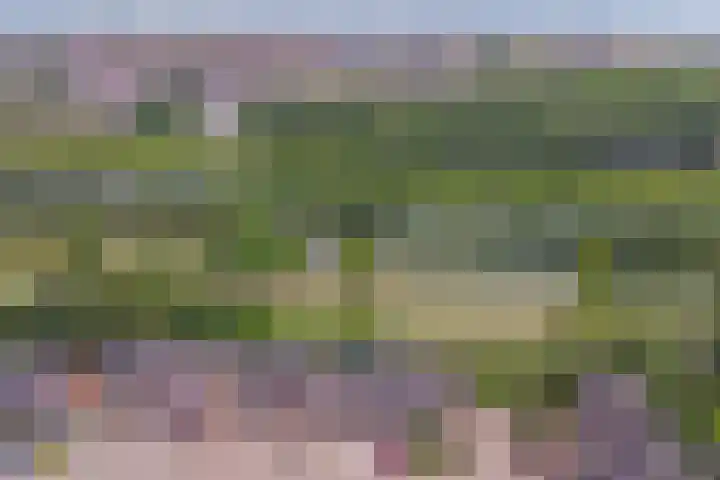Westerzicht 379 Vlissingen thumbnail 32