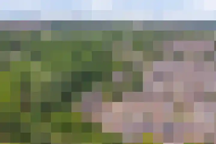 Westerzicht 379 Vlissingen thumbnail 33