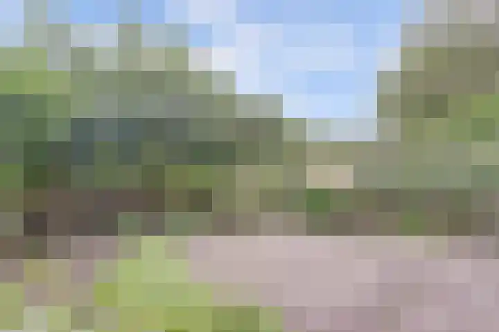 Westerzicht 379 Vlissingen thumbnail 4