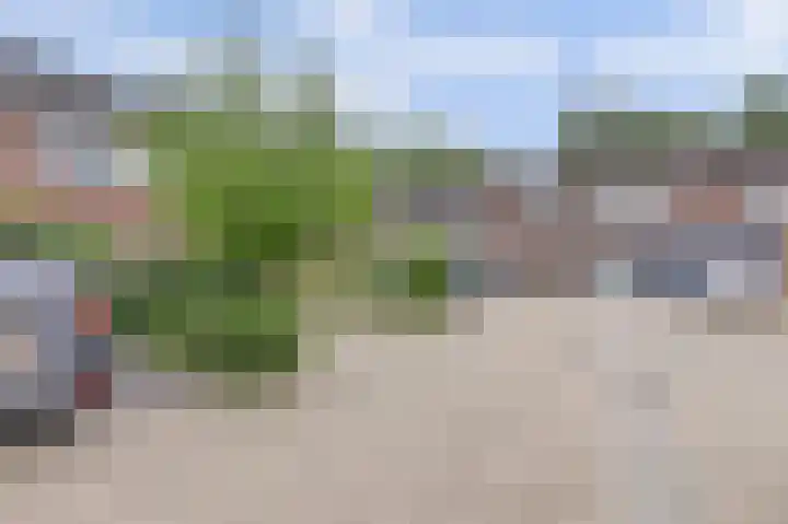 Westerzicht 379 Vlissingen thumbnail 8
